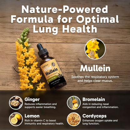 New Maximum Potency Mullein Drops For Smokers | RespiClear